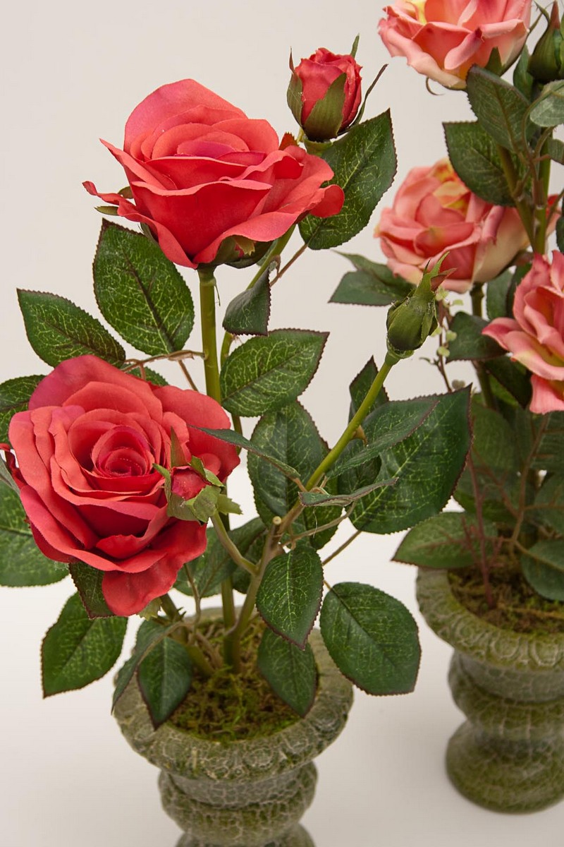 Red Roses Flower Arrangements Angads